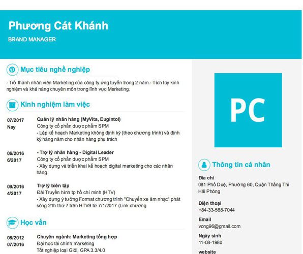 Mẫu CV BRAND MANAGER