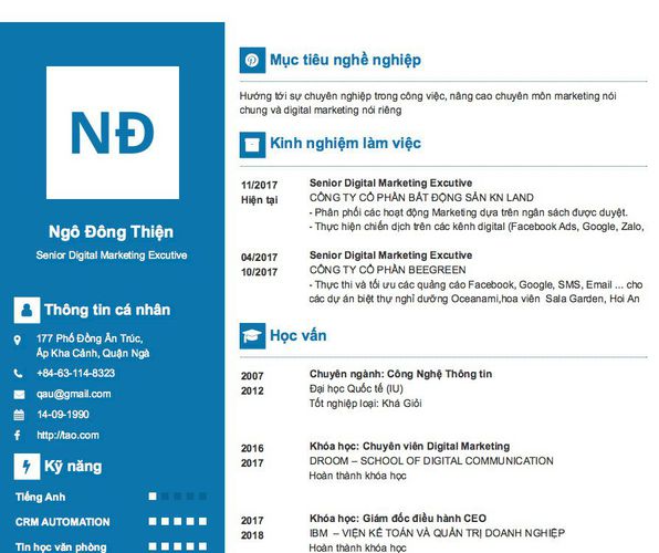 Mẫu CV Senior Digital Marketing Excutive
