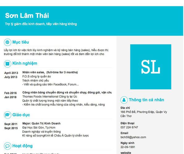 Mẫu CV Trợ lý giám đốc kinh doanh, tiếp viên hàng không