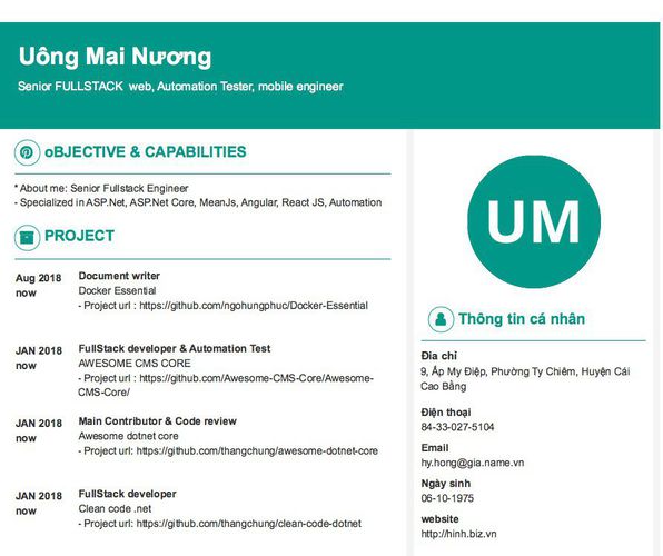 Mẫu CV Senior FULLSTACK  web, Automation Tester, mobile engineer