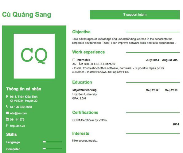 Mẫu CV IT support Intern