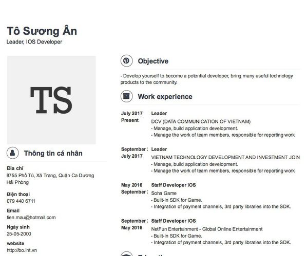 Mẫu CV Leader, IOS Developer