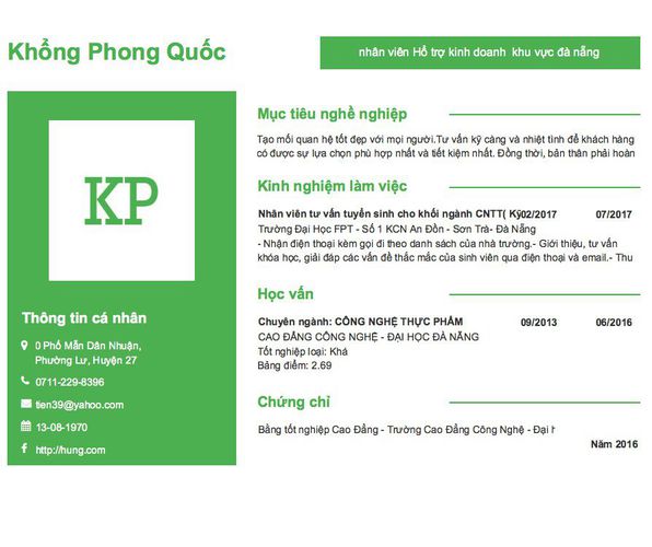 Gợi ý cách viết Mẫu CV tham khảo nhân viên Hổ trợ kinh doanh  khu vực đà nẵng