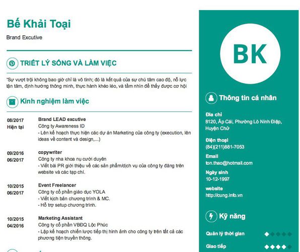 Mẫu CV Brand Excutive