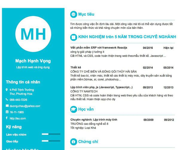 Mẫu CV Lập trình web và ứng dụng