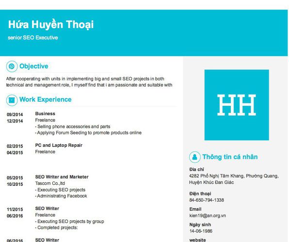 Mẫu CV senior SEO Executive