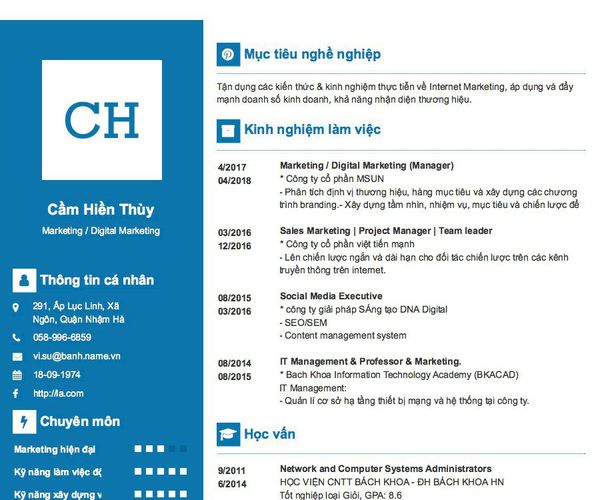 Mẫu CV Marketing / Digital Marketing