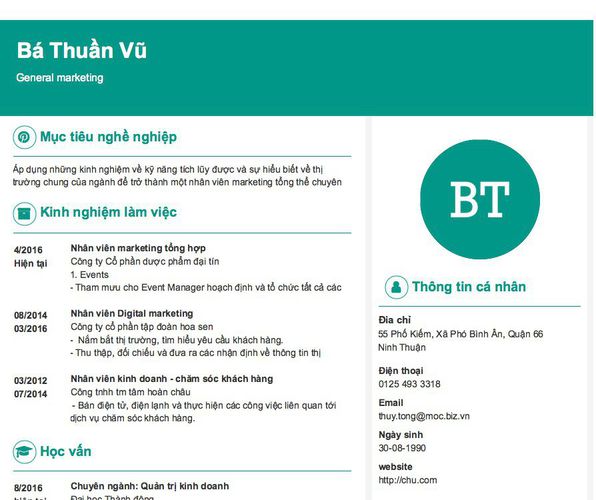 Mẫu CV General marketing