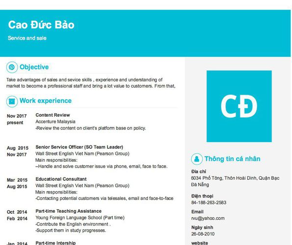 Mẫu CV Service and sale