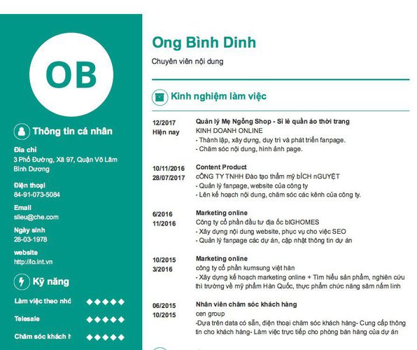 Mẫu CV Chuyên viên nội dung