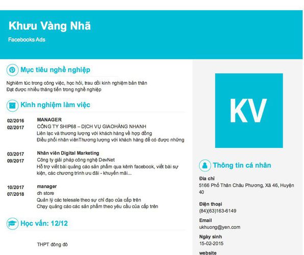 Mẫu CV Facebooks Ads