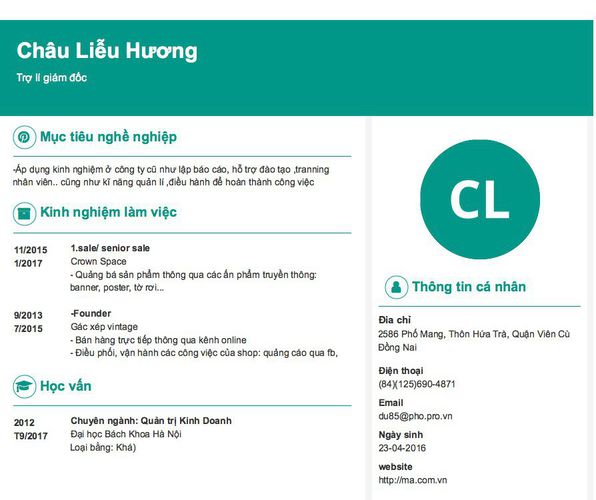 Mẫu CV Trợ lí giám đốc