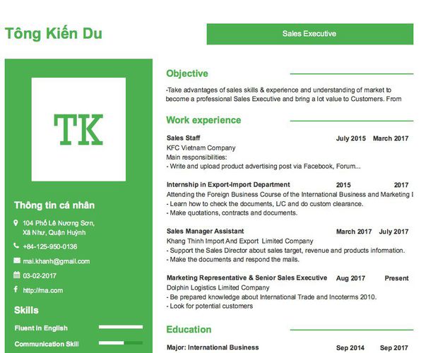 Mẫu CV Sales Executive