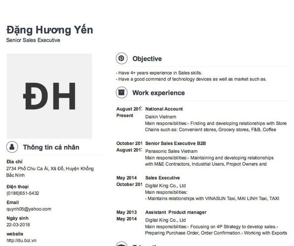 Mẫu CV Senior Sales Executive
