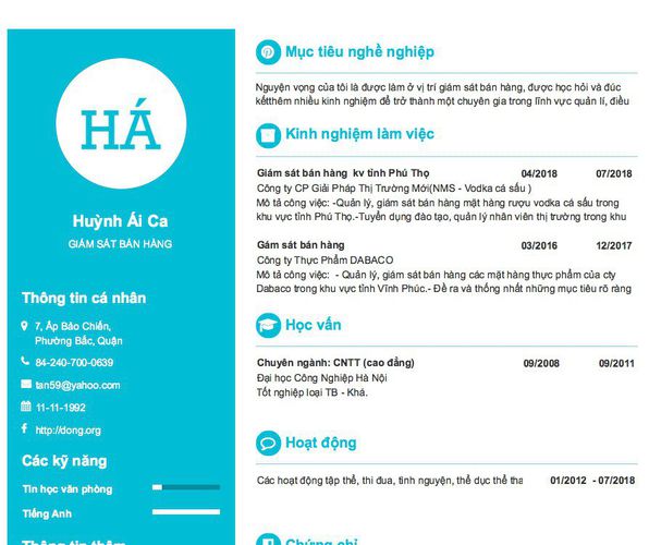 Mẫu CV GIÁM SÁT BÁN HÀNG