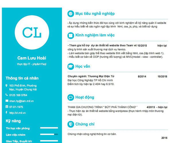 Mẫu CV thực tập IT - php&mYsql