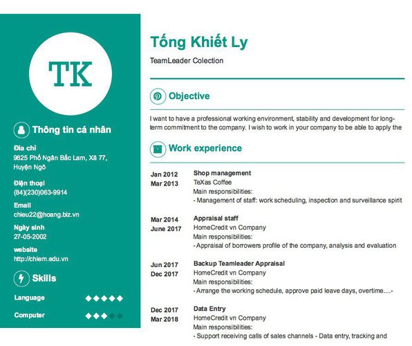 Mẫu CV TeamLeader Colection