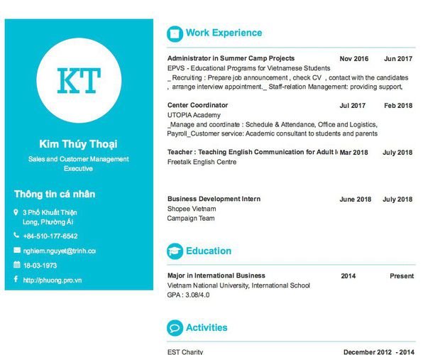 Mẫu CV Sales and Customer Management Executive