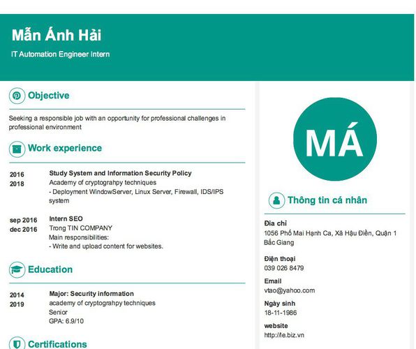 Mẫu CV IT Automation Engineer Intern