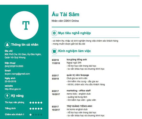 Mẫu CV Nhân viên CSKH Online