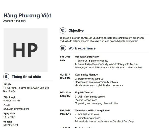 Mẫu CV Account Executive