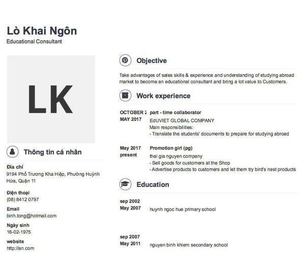 Mẫu CV Educational Consultant