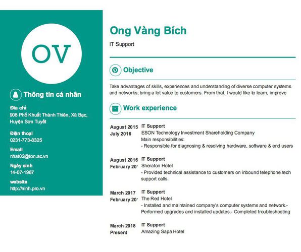 Mẫu CV IT Support
