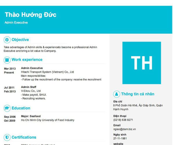 Mẫu CV Admin Executive