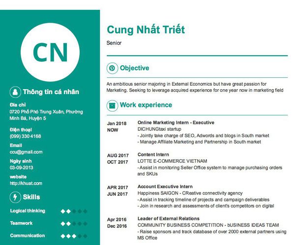Mẫu CV Senior