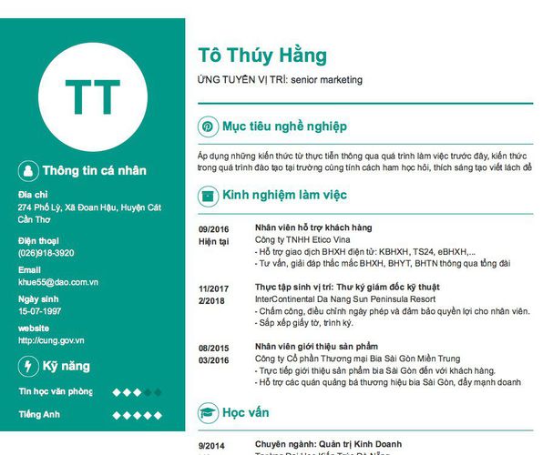 Gợi ý cách viết Mẫu CV tham khảo ỨNG TUYỂN VỊ TRÍ: senior marketing