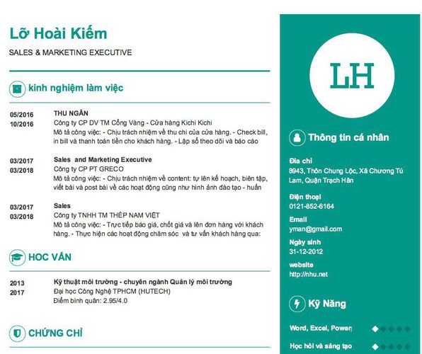 Mẫu CV SALES & MARKETING EXECUTIVE