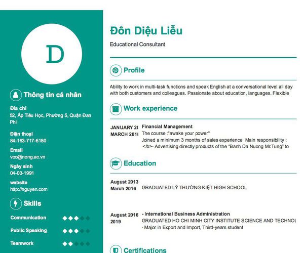 Mẫu CV Educational Consultant