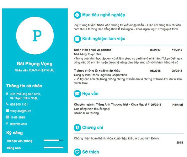 Mẫu CV Nhân viên XUẤT-NHẬP KHẨU