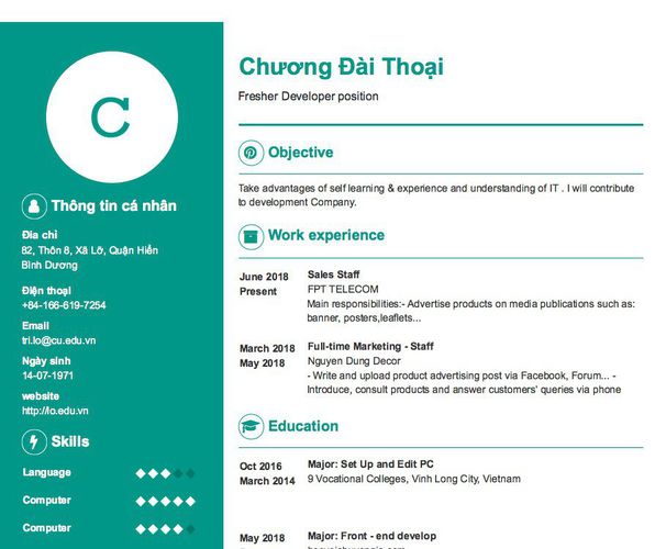 Mẫu CV Fresher Developer position