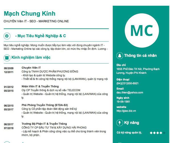 Mẫu CV CHUYÊN Viên IT - SEO - MARKETING ONLINE