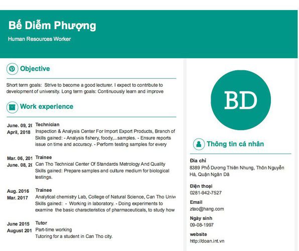 Mẫu CV Human Resources Worker