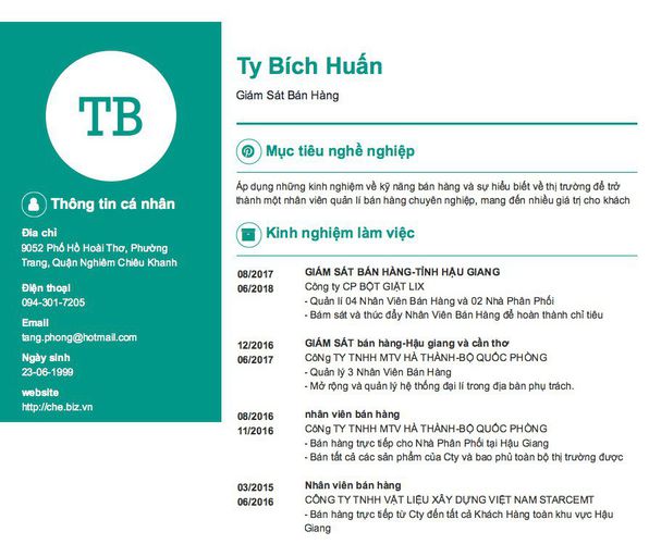 Mẫu CV Giám Sát Bán Hàng