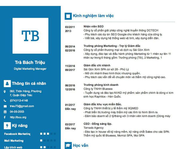 Mẫu CV Digital Marketing Manager