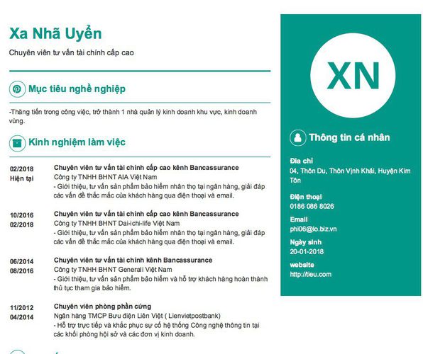 Mẫu CV Chuyên viên tư vấn tài chính cấp cao