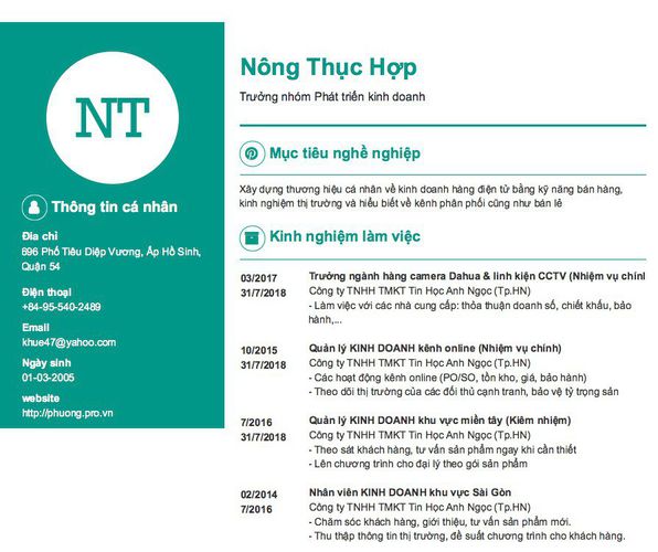 Gợi ý cách viết Mẫu CV tham khảo Trưởng nhóm Phát triển kinh doanh