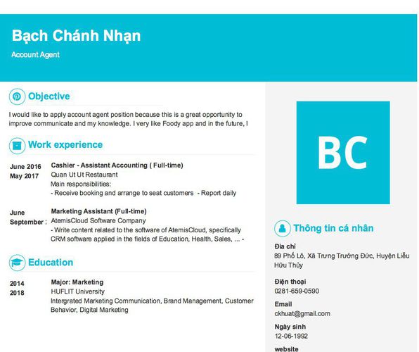 Mẫu CV Account Agent