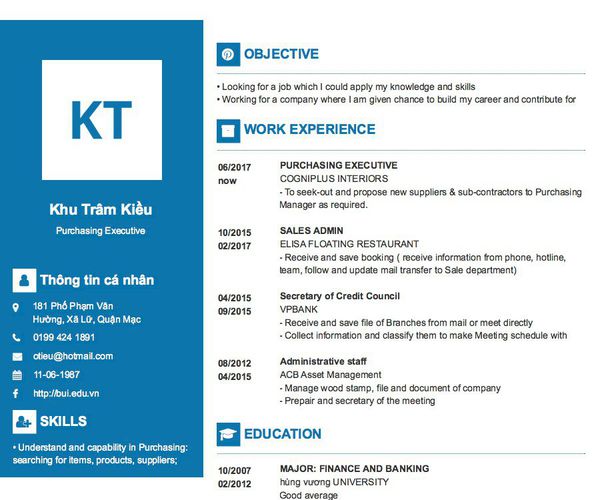 Mẫu CV Purchasing Executive