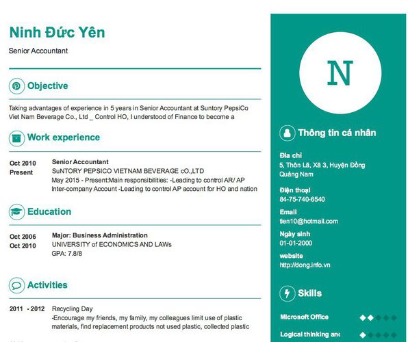 Mẫu CV Senior Accountant