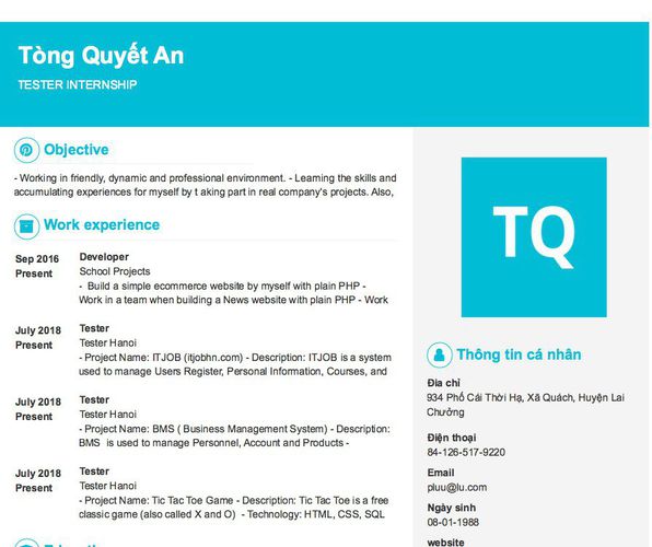 Mẫu CV TESTER INTERNSHIP