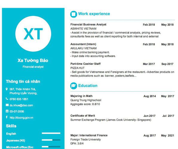 Mẫu CV Financial analyst
