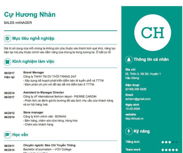 Mẫu CV SALES mANAGER
