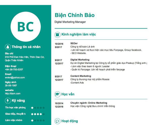Mẫu CV Digital Marketing Manager