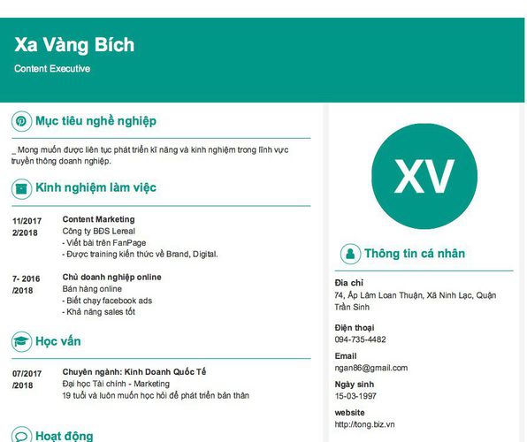 Mẫu CV Content Executive