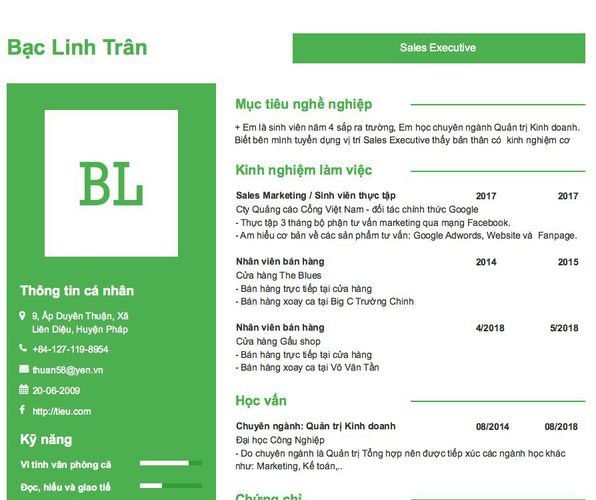 Mẫu CV Sales Executive