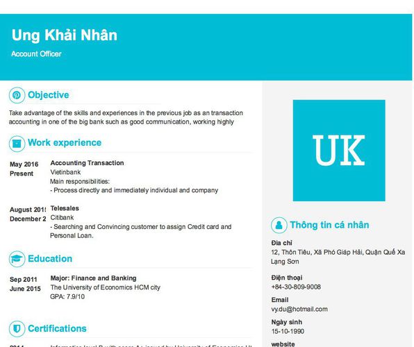 Mẫu CV Account Officer